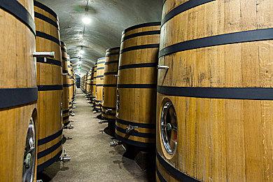 猫咪拆家游戏《暴力喵喵拳》9月推出强化重制版